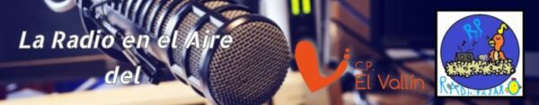 Radio Pájaro